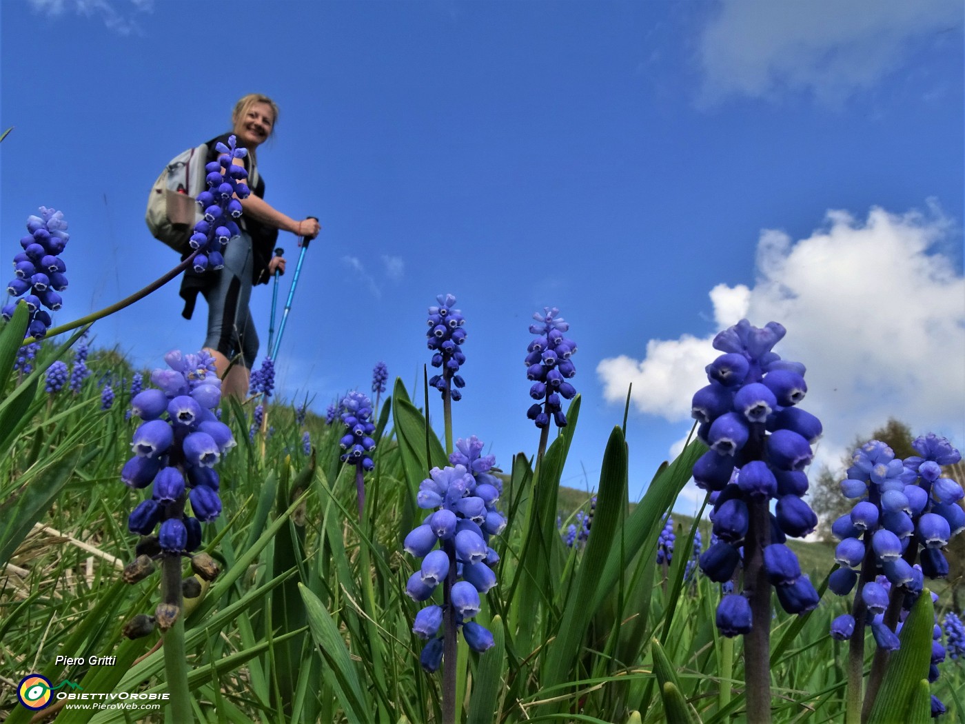 27 Muscari in piena fioritura.JPG